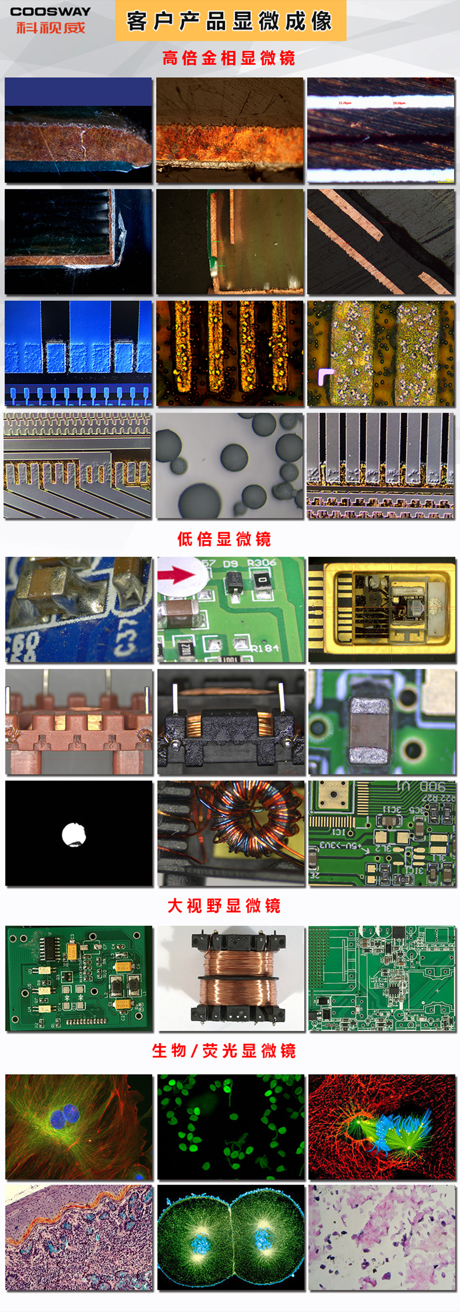 顯微（wēi）鏡成像-925.jpg