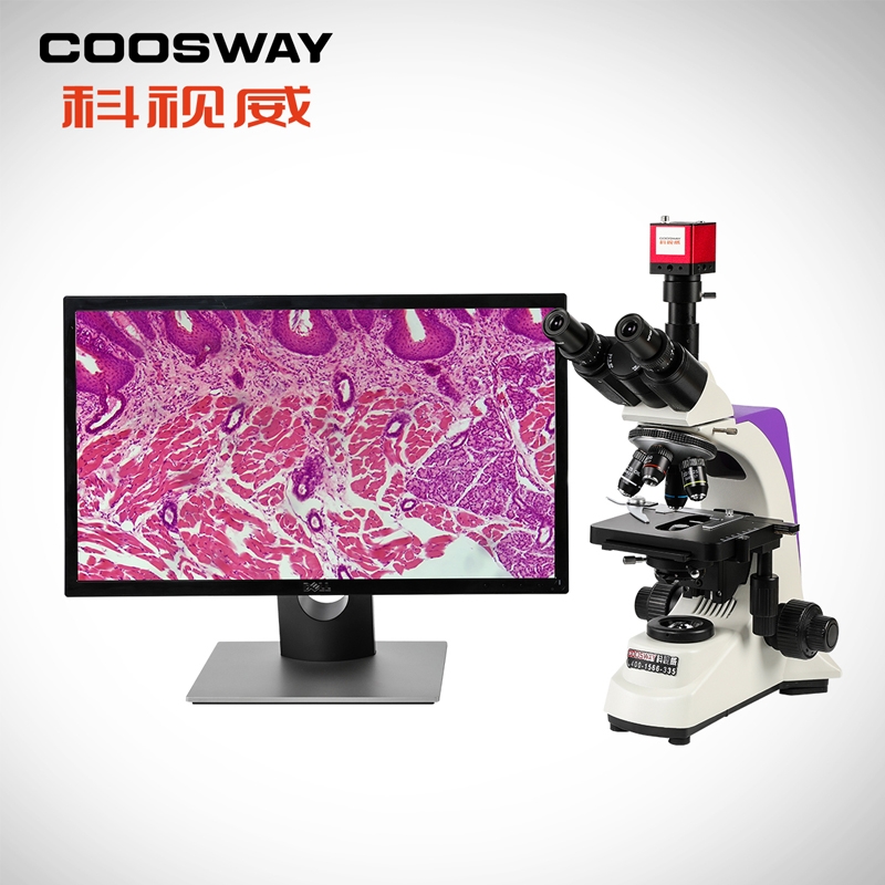 深圳市科視（shì）威光學儀器有限公司